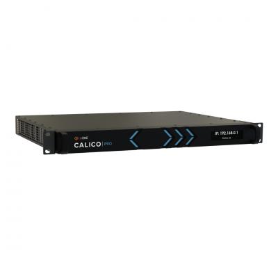 CALICO PRO (1U)
