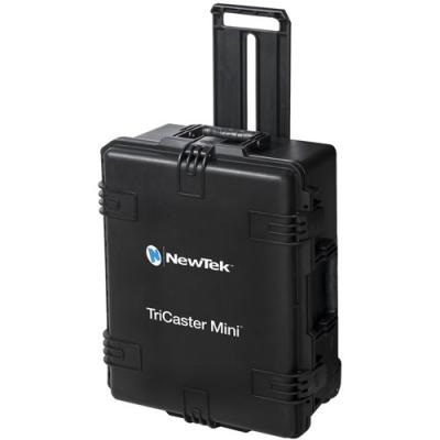 VIZMINITRVLCASE