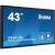 43" PROLITE TF4339AS-B1AG Interactive