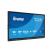 55" ProLite TE5513A-B3AG Interactive Display