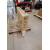 55" ProLite LH5575UHS-B1AG Commercial Display