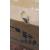 23.8" ProLite S2425AS-B1P - Clearance Product