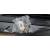 EWP-55XE4F - Clearance