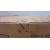 22" 222S9JML/00 Monitor - Clearance Product