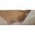 65" QM65C Commercial Display - Clearance
