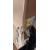 BT8228/B - Clearance Product