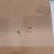 PC-200B 200mm Pendant Can Adapter - Clearance
