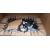 22" TF2215MC-B2 Touch Monitor - Clearance