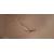 86" TN8605A-B1AG Display - Clearance Product