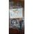 24" ProLite XB2496HSC-B1 Monitor - Clearance