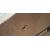 34" 34E1C5600HE/00 LCD Monitor - Clearance