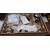 27" 273S1/00 Monitor - Clearance Product