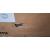 43" 60006181 Commercial Display - Clearance