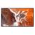 43" FW43BZ30PB.CEI Commercial Display