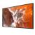 43" FW43BZ30PB.CEI Commercial Display