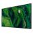 43" FW43BZ35PB.CEI Commercial Display