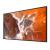 50" FW50BZ30PB.CEI Commercial Display