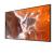 55" FW55BZ30PB.CEI Commercial Display