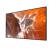 65" FW65BZ30PB.CEI Commercial Display