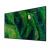 65" FW65BZ35PB.CEI Commercial Display
