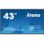 43" ProLite LE4340UHS-B1 Display-Clearance Pr